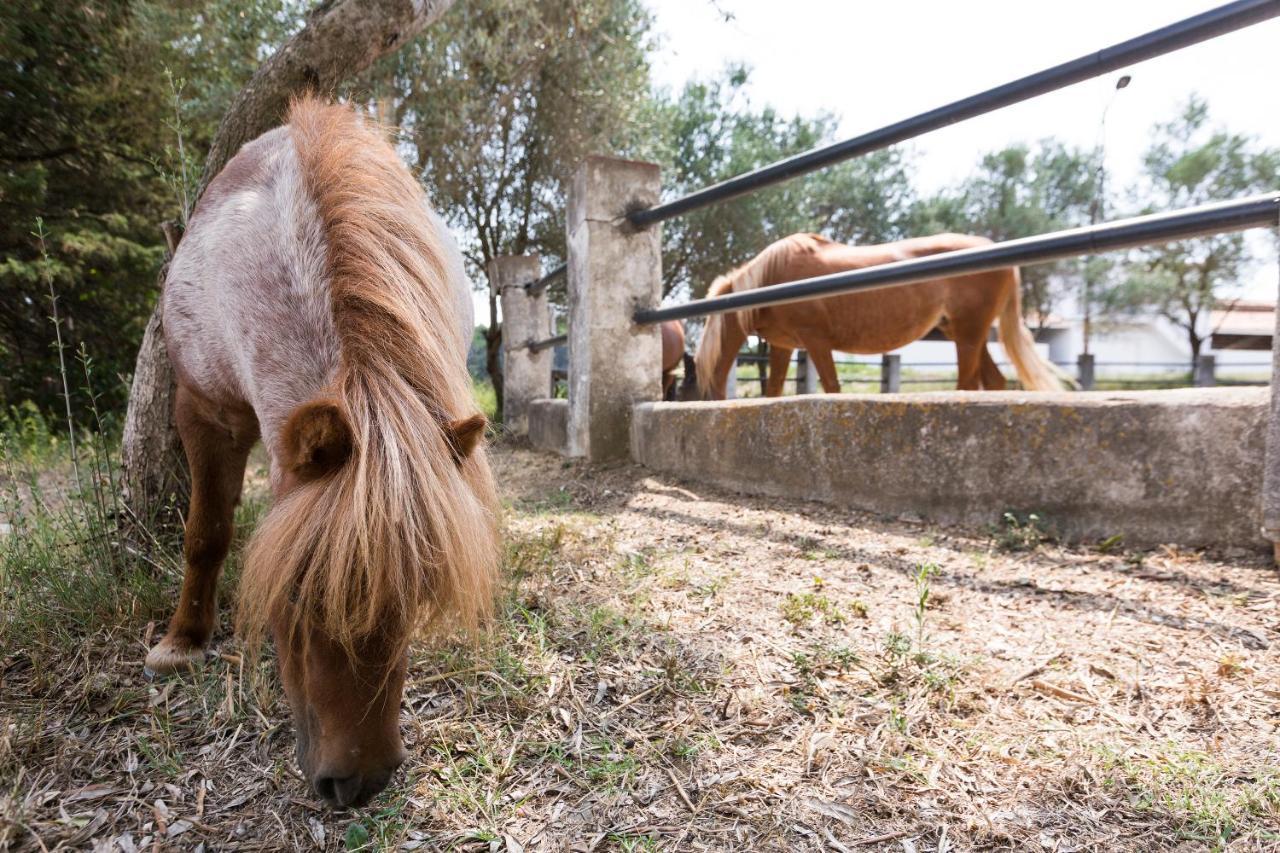 Masia Can Rovira - Esc1852 San Lorenzo de Hortóns Zewnętrze zdjęcie
