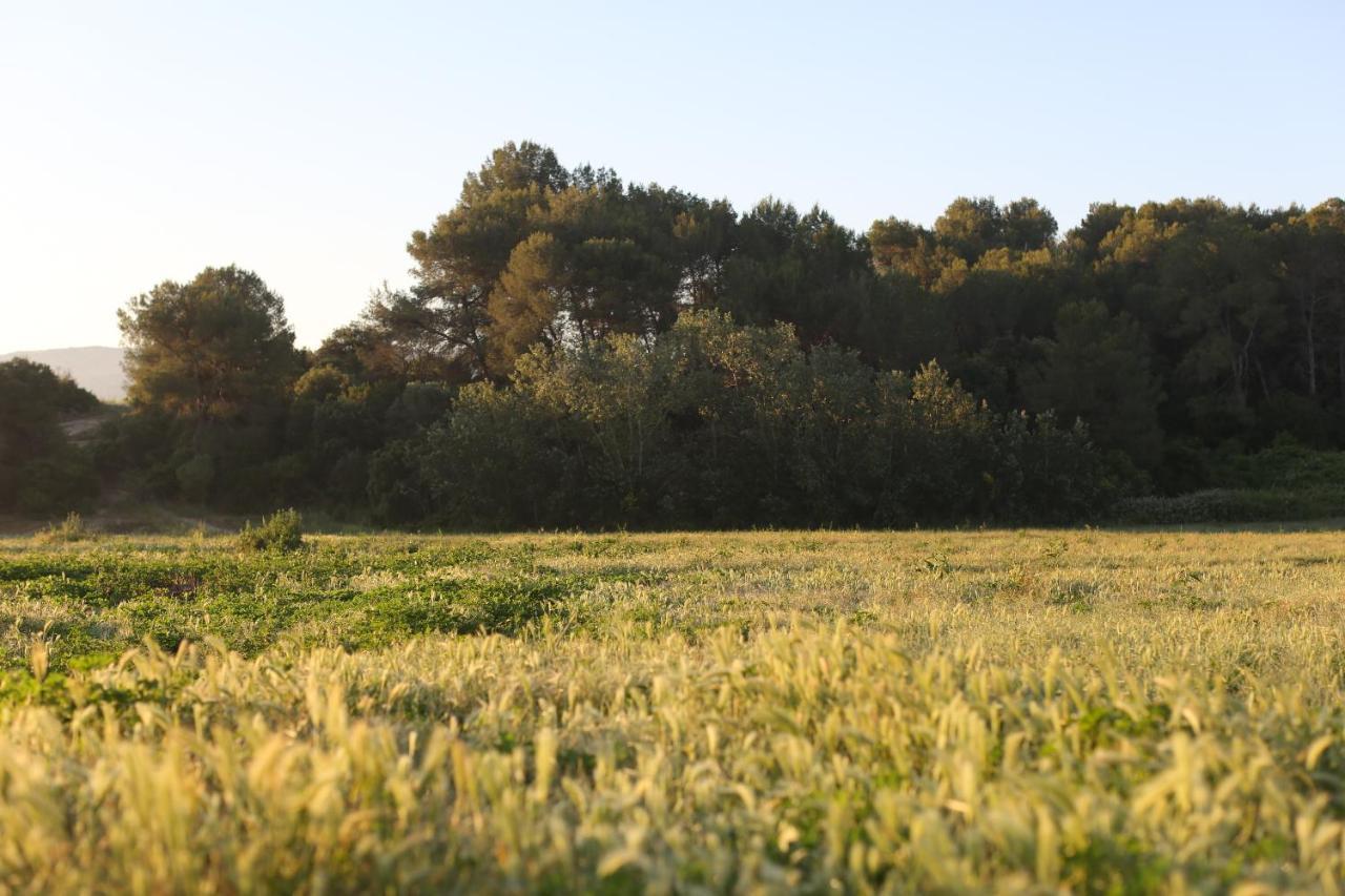 Masia Can Rovira - Esc1852 San Lorenzo de Hortóns Zewnętrze zdjęcie