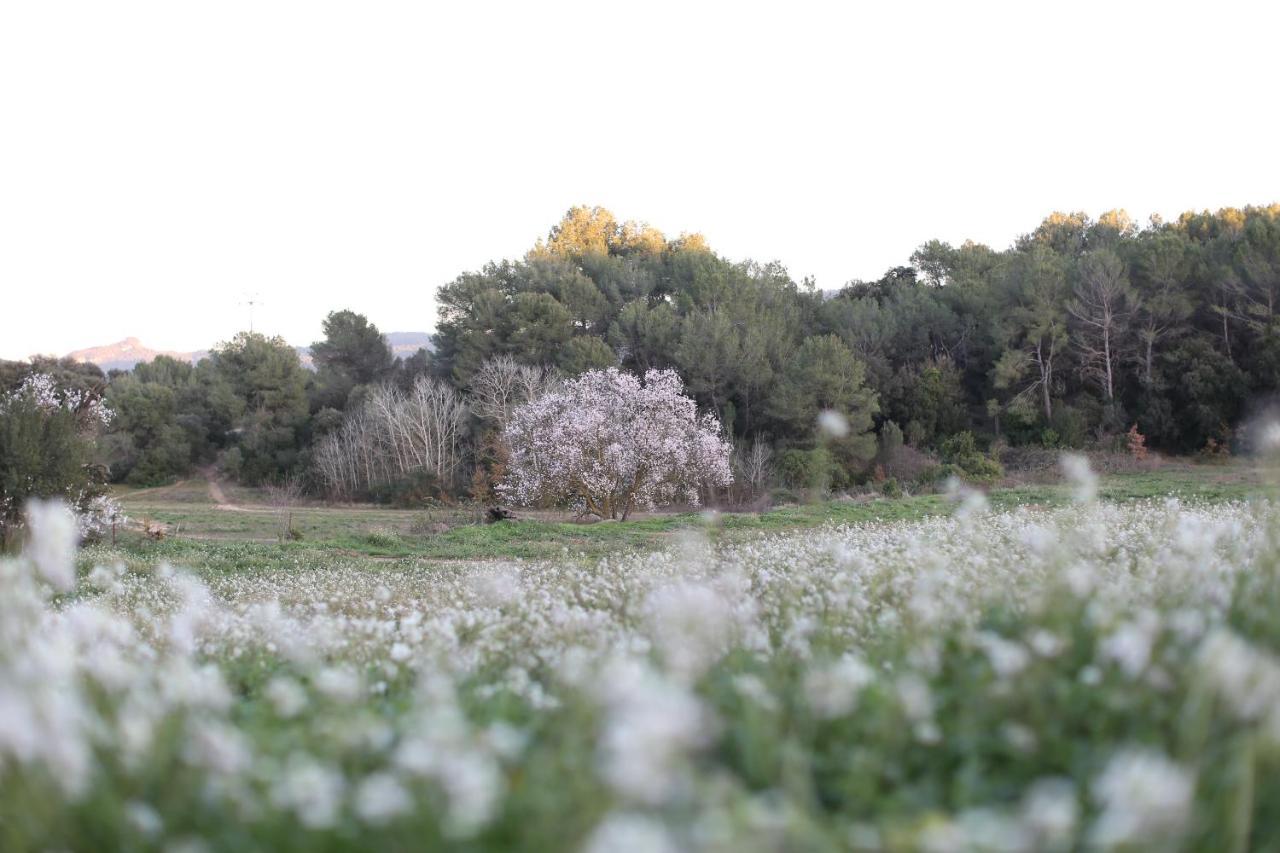 Masia Can Rovira - Esc1852 San Lorenzo de Hortóns Zewnętrze zdjęcie