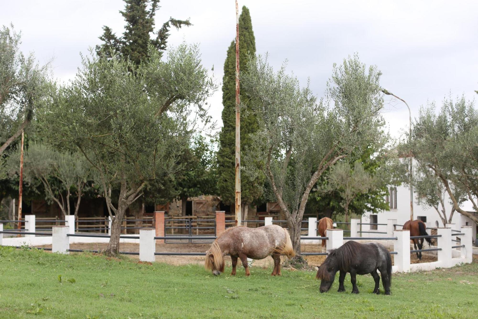 Masia Can Rovira - Esc1852 San Lorenzo de Hortóns Zewnętrze zdjęcie